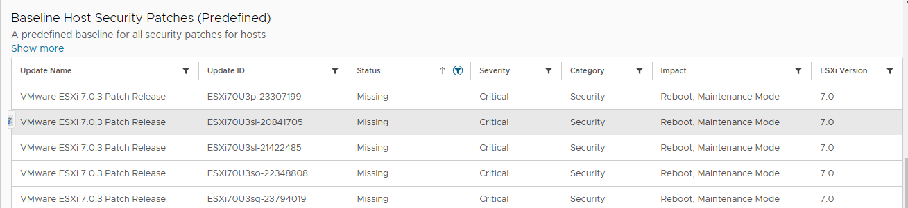 A predefined baseline for all security patches for hosts